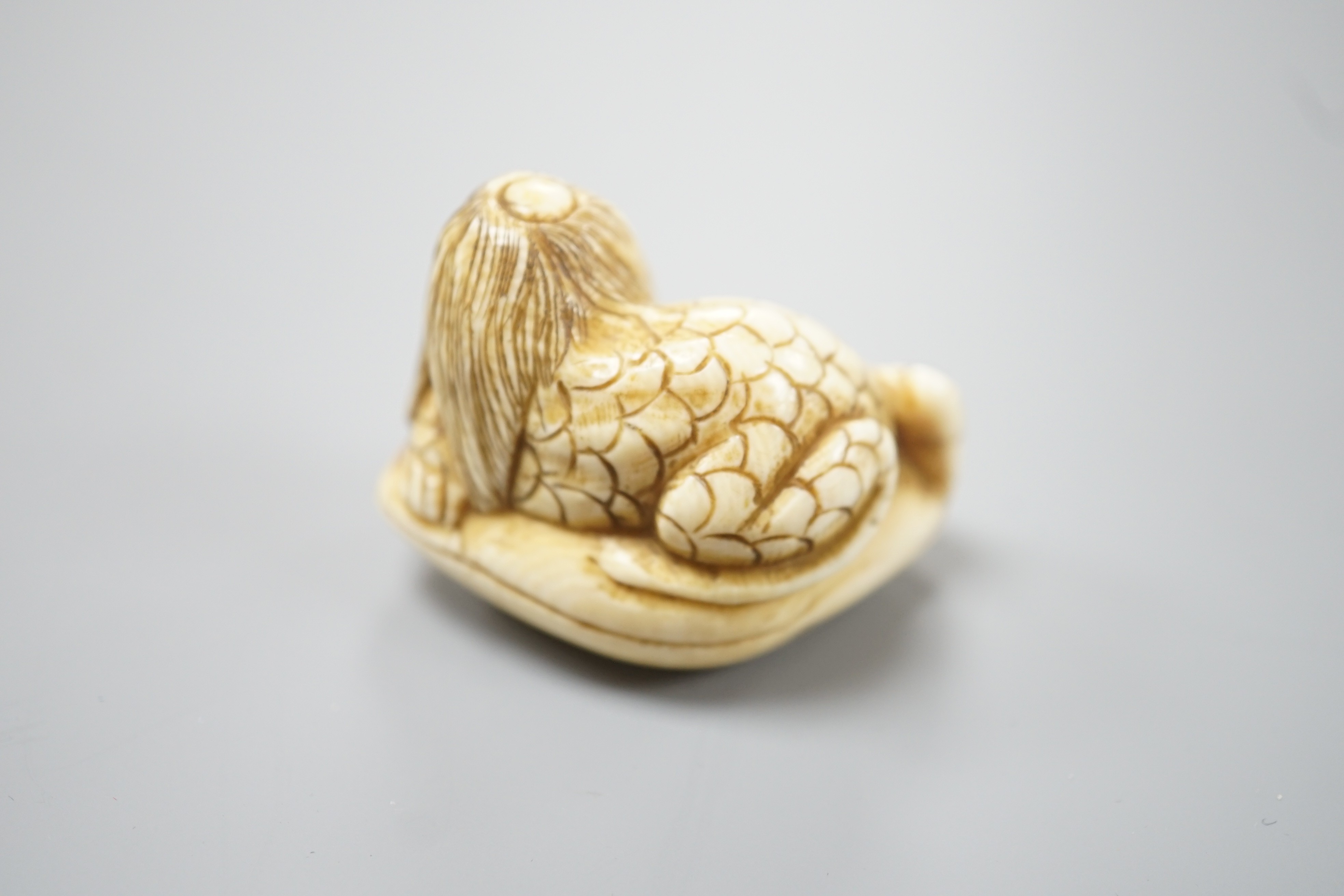 A Japanese ivory netsuke of a kappa on a clam shell, signed Gyokuzan, Meiji period, 4.8cm